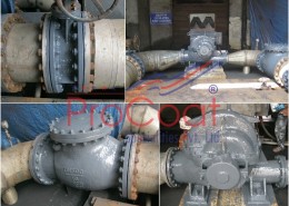 Pumps-Valves Under ProCoat Protection System